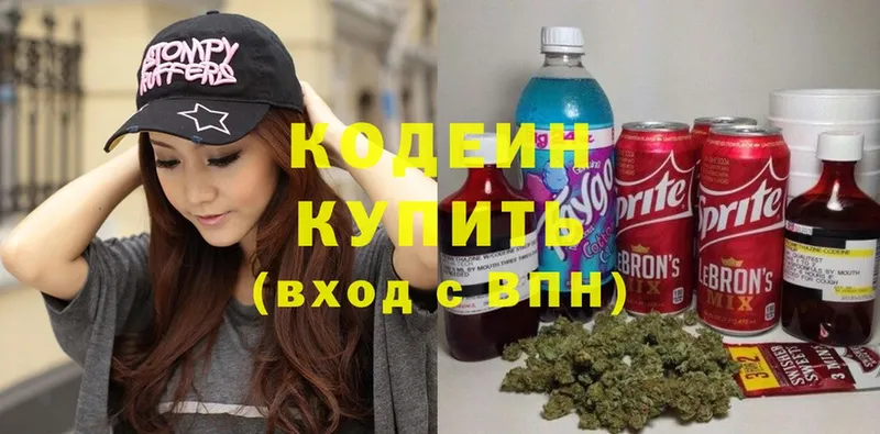 цена наркотик  hydra ТОР  Кодеиновый сироп Lean Purple Drank  Каменск-Уральский 