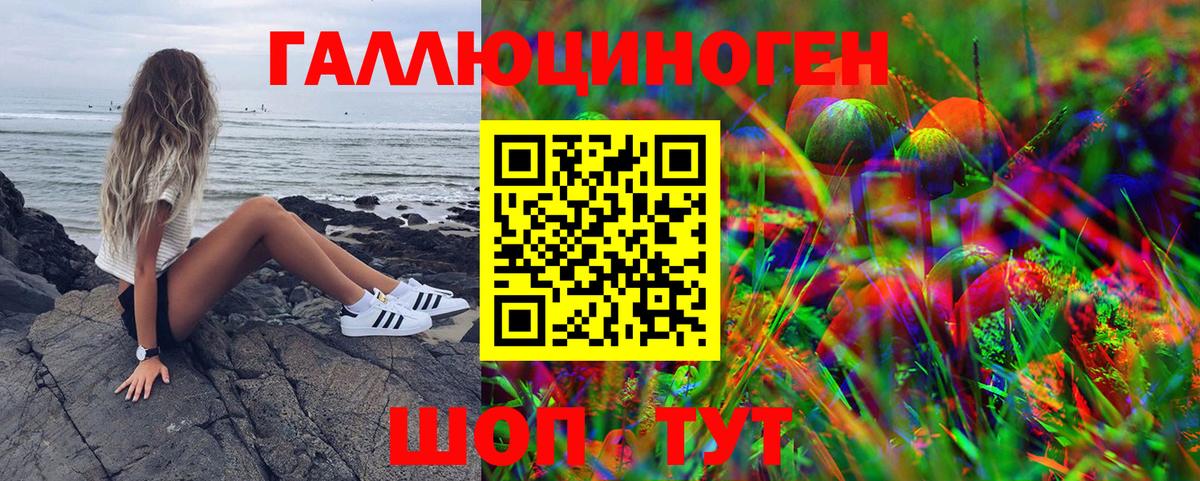 Галлюциногенные грибы GOLDEN TEACHER Каменск-Уральский