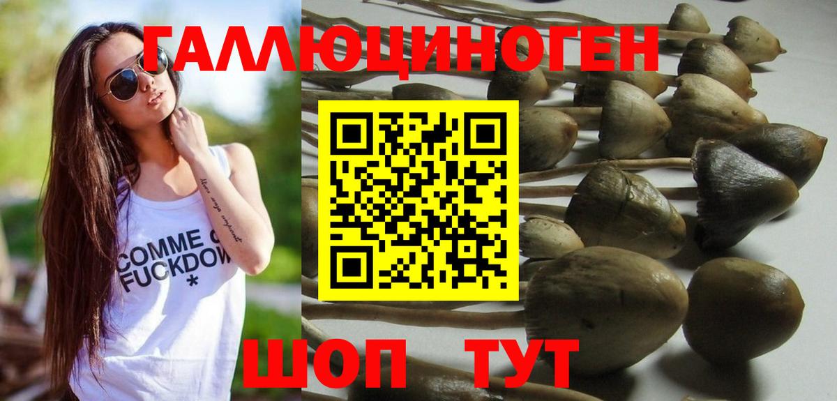 Галлюциногенные грибы Cubensis  Вход с VPN  Каменск-Уральский  Галлюциногенные грибы мухоморы 